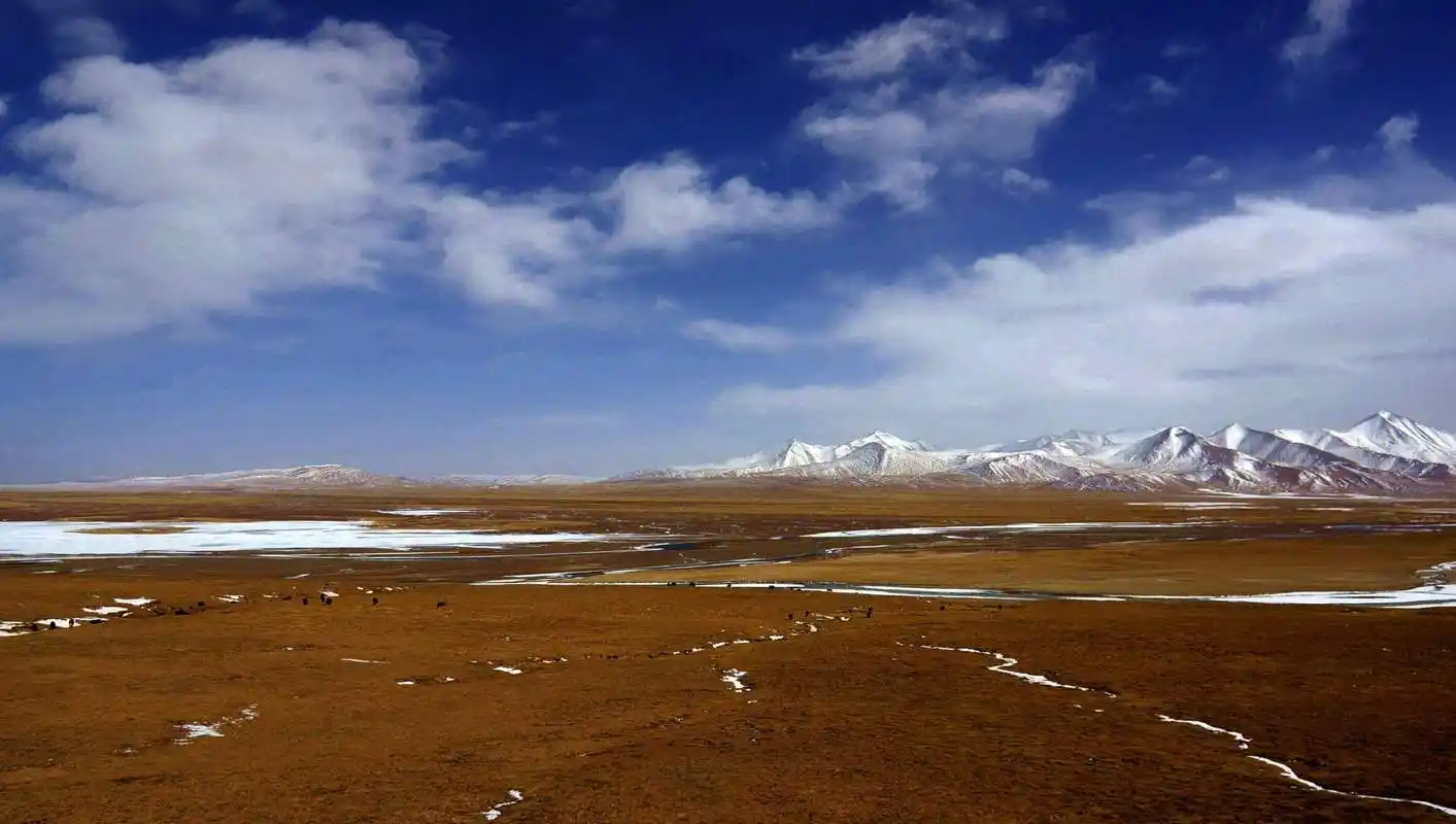 可可西里无人区,为何会被称为"生命禁区",里面究竟有多危险?