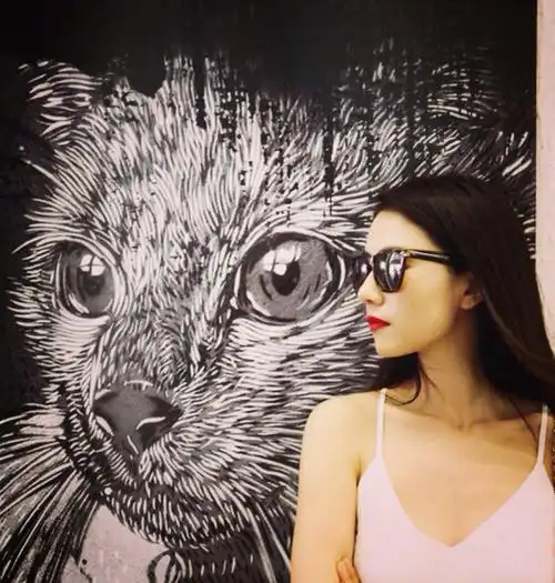 明星头像之高圆圆