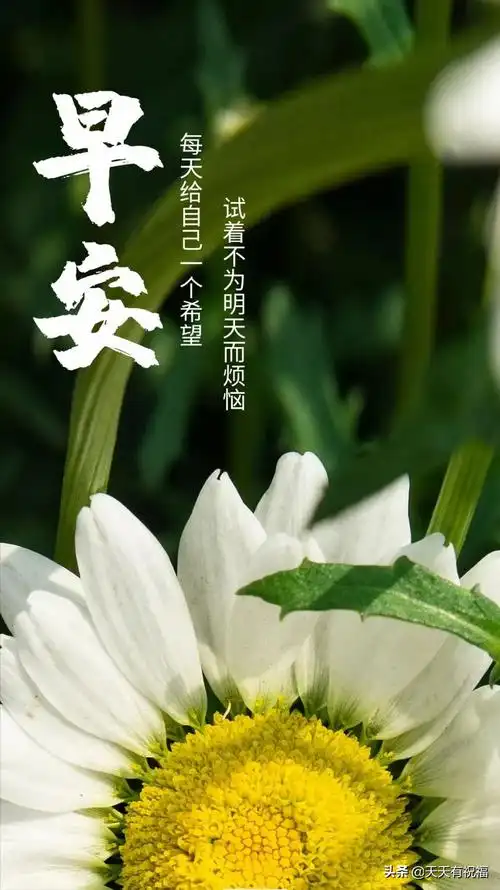 关于生活的朋友圈的说说配图「精辟」 _qq说说网