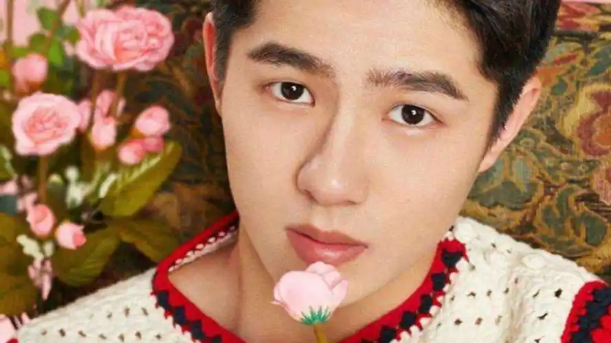 虎牙弟弟刘昊然的快问快答,称:如果不做演员就从事游戏主播