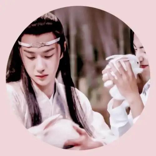 陈情令情头博君一肖圆形情头肖战&王一博