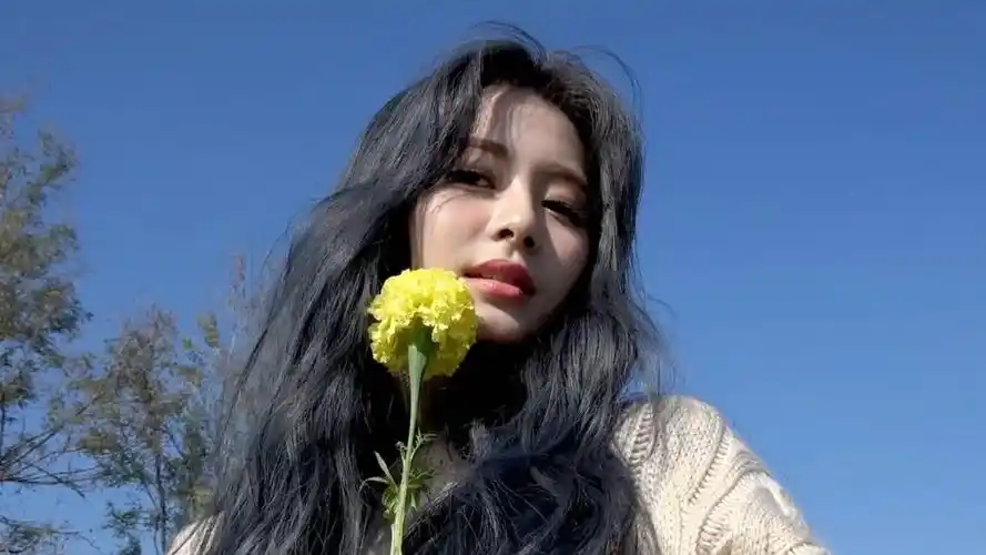 周子瑜. - 堆糖,美图壁纸兴趣社区