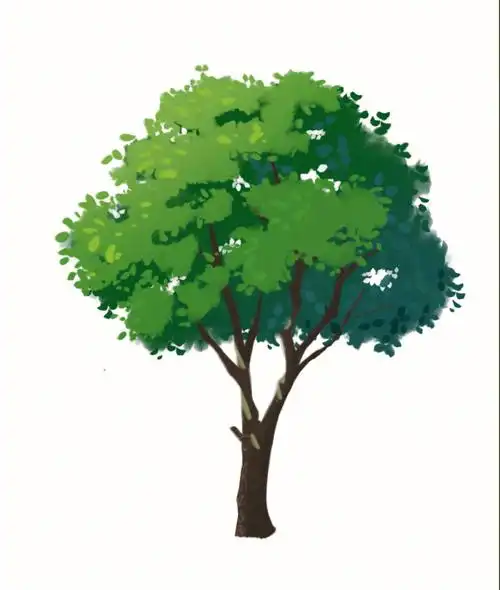 但是画出的效果不好看,要再好好研究一下#花草树木  #手绘练习