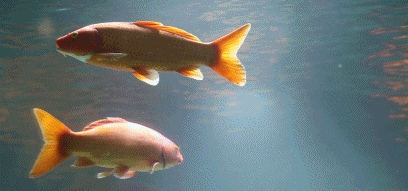 408_191gif 动态图 动图