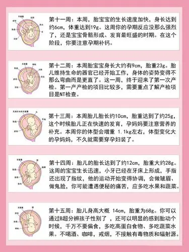 1-40周宝宝发育全图,新手妈妈快了解起来!