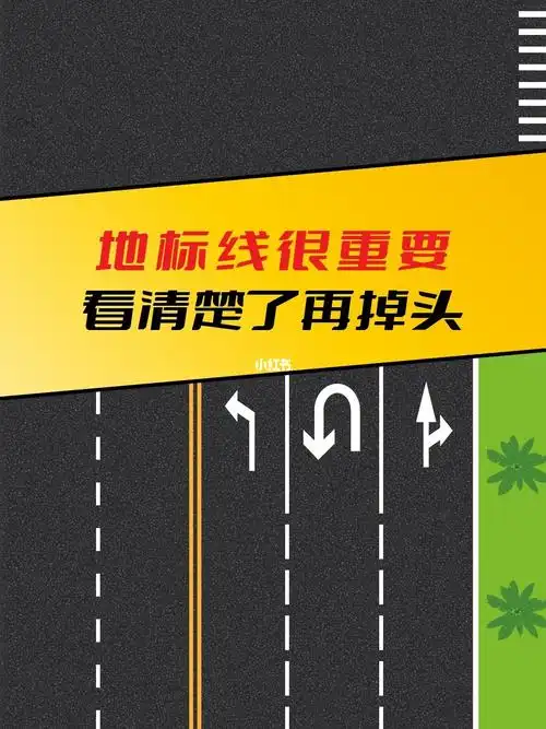 地标线很重要看清楚了再掉头哦