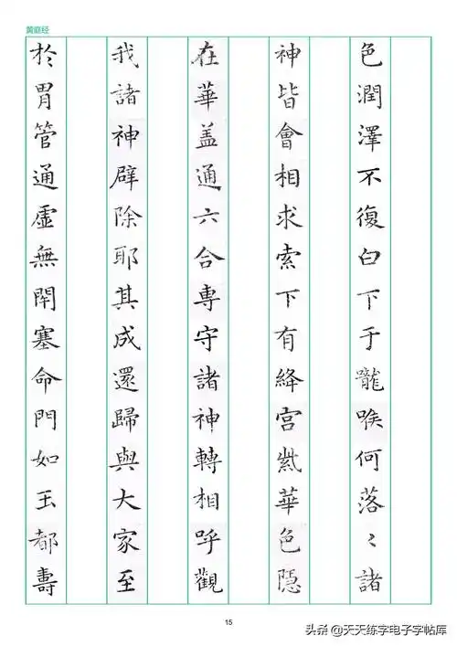 硬笔临古系列——《黄庭经》竖排