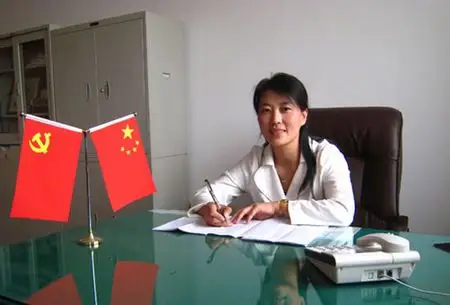 张玲玲的科研项目