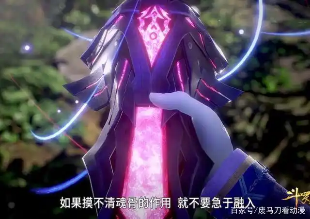 斗罗大陆动画中出现过的魂骨,唐三的品质最高,但他的魂骨最厉害
