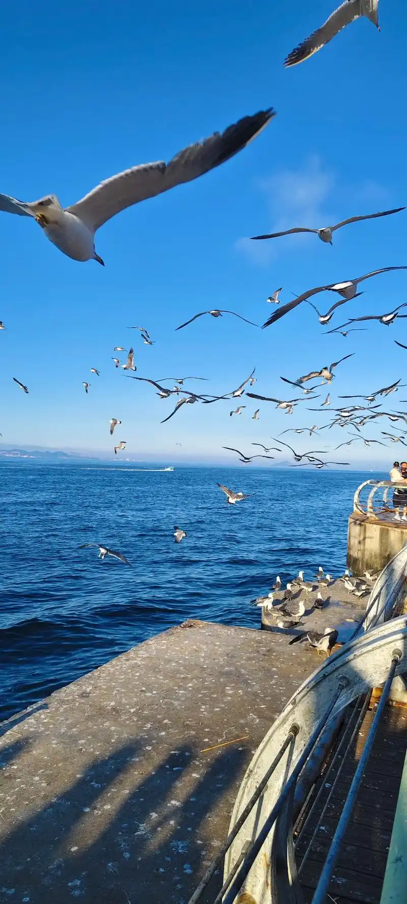 大连海边傍晚的美景!