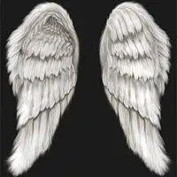 小天使头像翅膀_微信头像图片大全