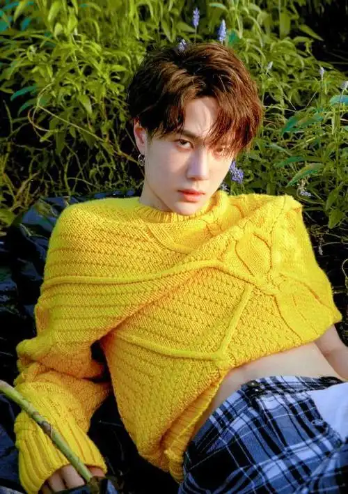 王一博黄色毛衣图片:一博又帅又可爱