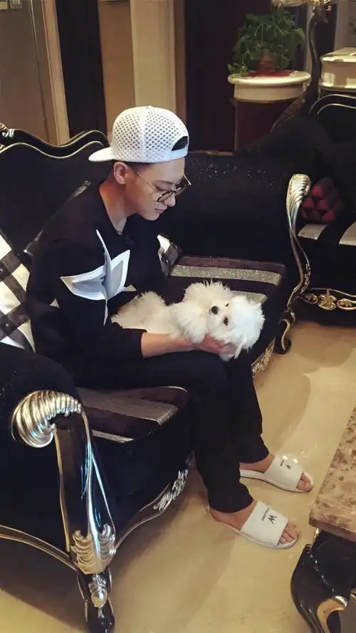 黄爸比与糖糖公举的日常 (╰╯) 嘤嘤萌萌 黄子韬 #十九岁的夏天电影