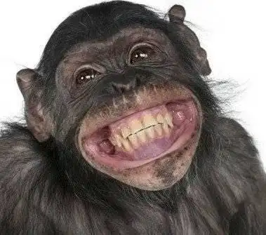 有趣显眼的头像都快快砸过来!