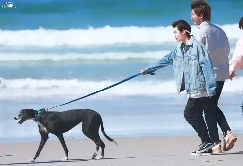 小鬼王琳凯 奇妙的食光 - 堆糖,美图壁纸兴趣社区