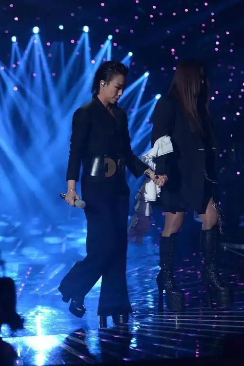 张惠妹助力林忆莲夺歌王 超高驴蹄鞋抢镜_新浪图片