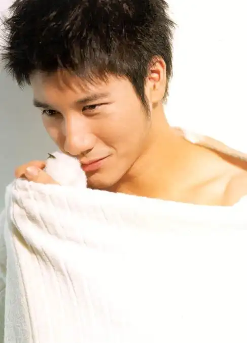 王力宏,回避不如出柜