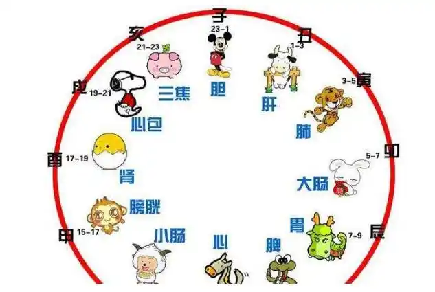 道家12时辰无病法,终于知道为什么要11点左右睡觉了!