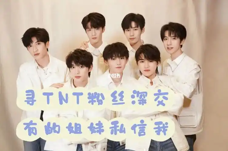 找tnt粉丝深交
