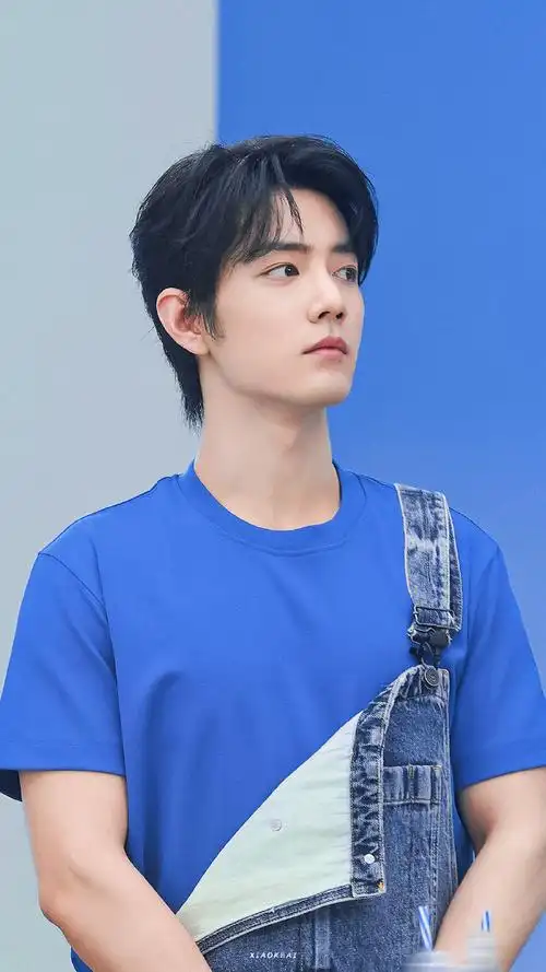 肖战蓝t背带裤##肖战rio全球品牌代言人