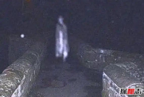 人死后的鬼魂照片十张吓死人30万的照片谣言揭秘