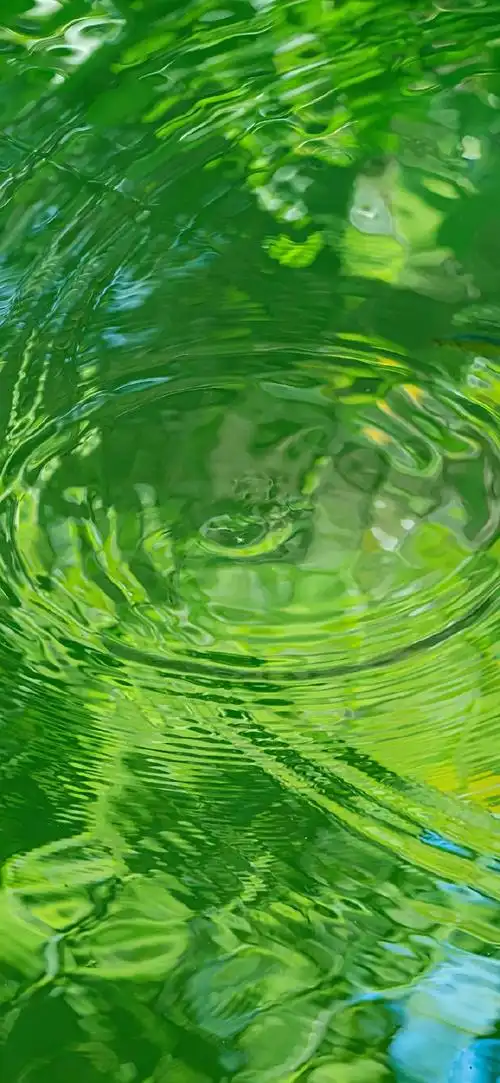 夏天怎么能少了绿色养眼壁纸78    #夏日次元盛典