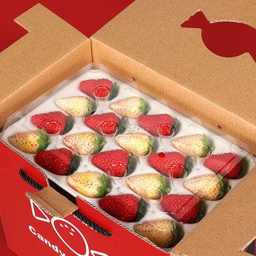 草莓礼盒包装空盒 草莓包装盒礼盒透明塑料托12粒装水果礼品盒空盒子