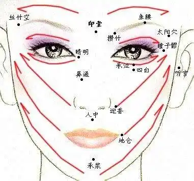 畅通毛孔,清除皮肤,机体内部代谢积存物,通过疏通面部经络