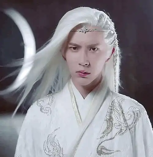 男星白发造型大比拼,王鹤棣被观众吐槽丑,罗云熙颜值好惊艳