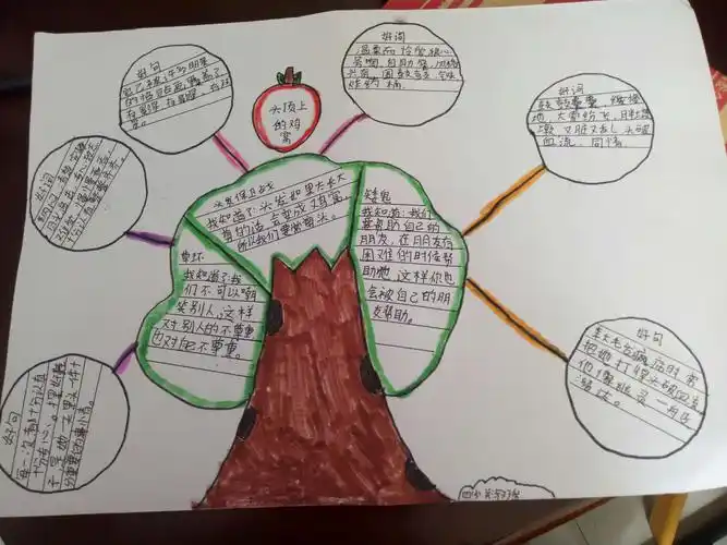 5)班寒假优秀作业展示