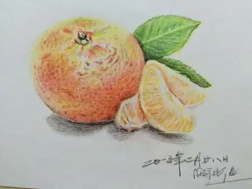 闲暇涂鸦之《水彩素描速写》篇