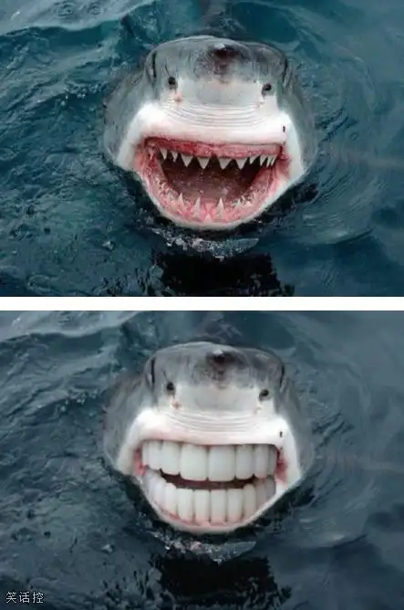 知道为什么鲨鱼为什么牙齿是尖的吧!方的看起来不凶狠