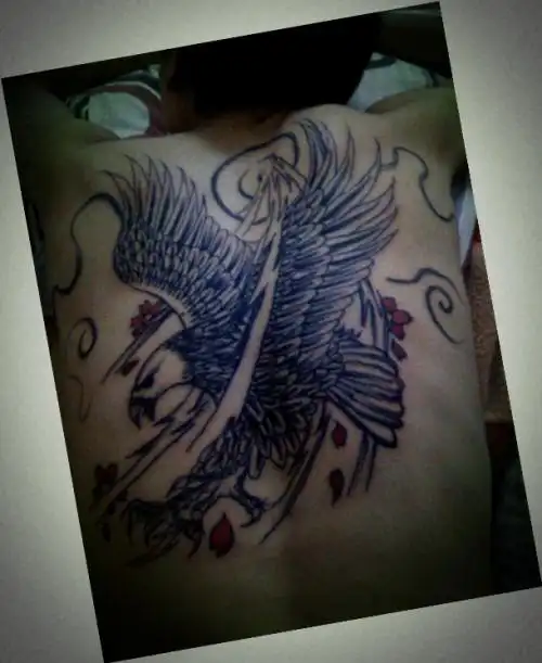 我背上纹了个老鹰但背还没有纹满全背不知道还纹什么?