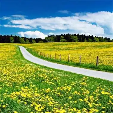 适合做头像的风景图片优美超唯美治愈的最新风景高清头像大全