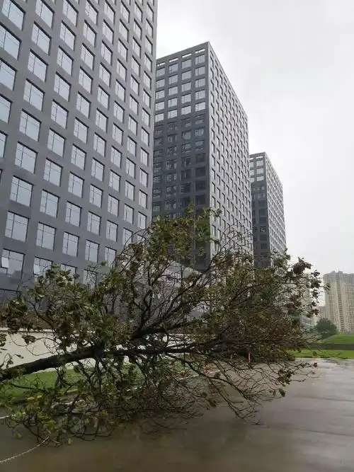 这几天最好是时刻关注天气预报,合理规划行程,避开台风影响地区,减少