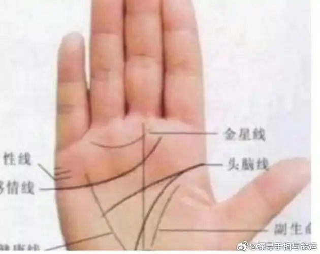 命中注定有横财可发的手相