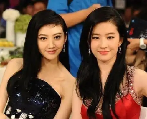 刘亦菲与其他明星合影(刘亦菲与他人合照)_竞价网