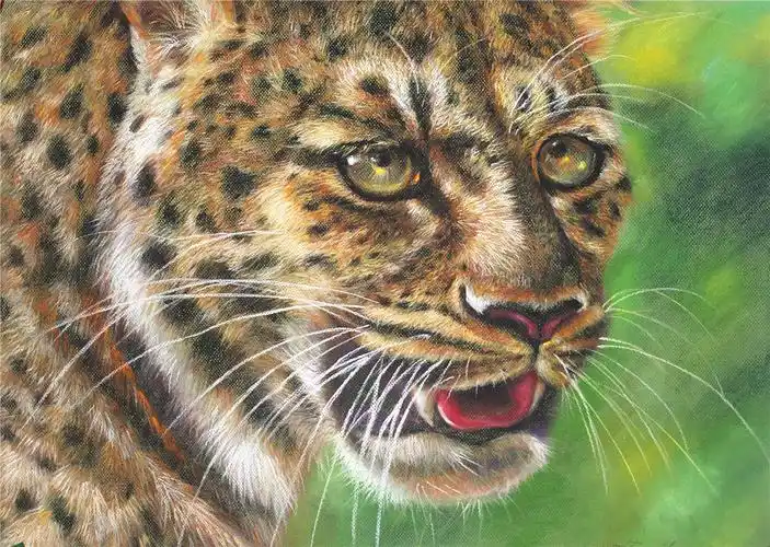 庞伟敏                   李亚洲刘运波