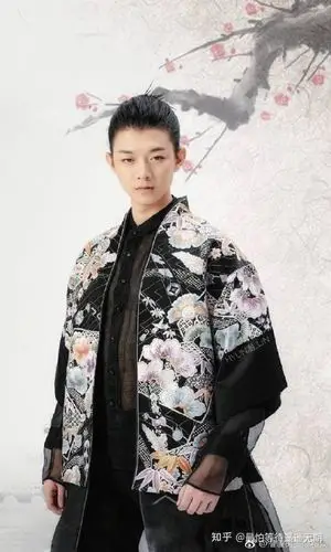 如何评价霍尊在《国风美少年》中演唱的《北京一夜》?