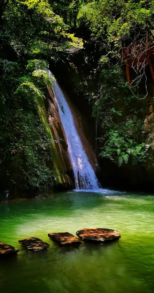 《山清水秀,鸟语花香》