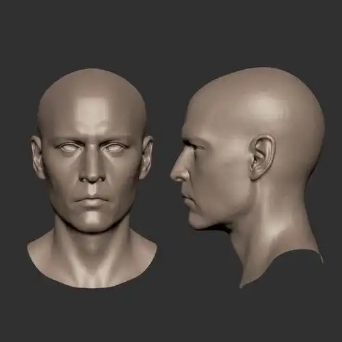 欧美男头高模练习模型