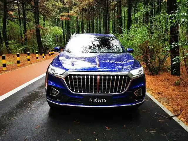 年销量近10万台还不满足红旗hs5想要的还有更多