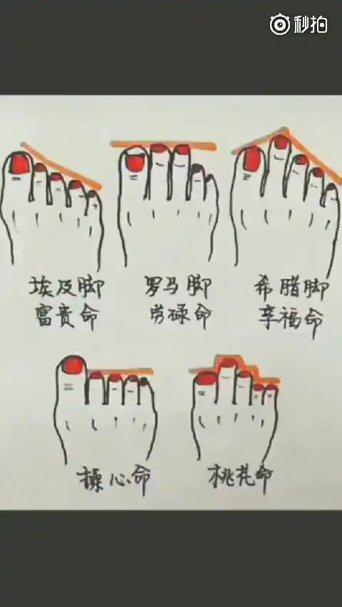 下面视频中的几种脚型,看看你属于哪一种?是富贵命还是劳碌命