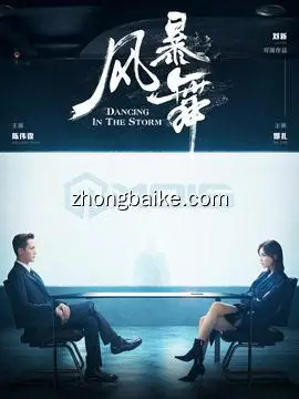 风暴舞剧情介绍143全集大结局演员表播出时间主题曲最新下载