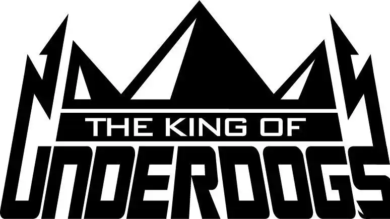 资讯,报名,数据一站式服务!路人王官方手机专题页上线啦