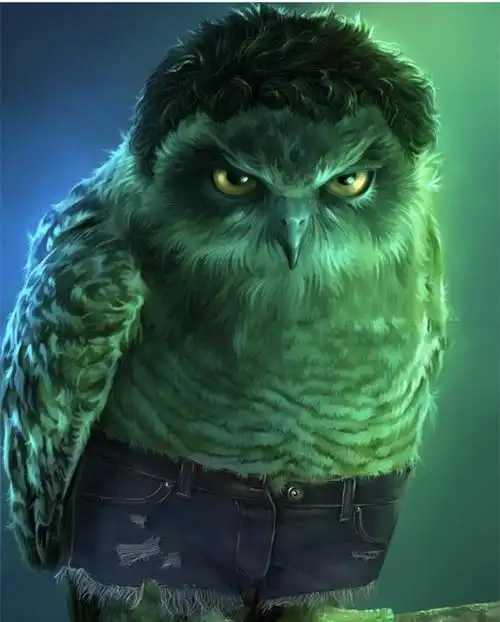 猫头鹰卡通图片(动漫人物都被替换成了猫头鹰) - 赤虎壹号