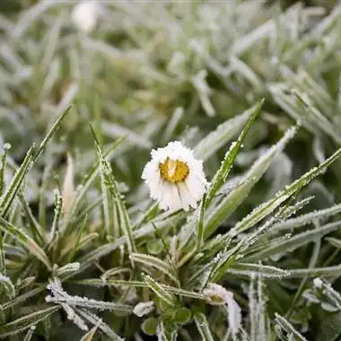 微信头像图片唯美淡雅 微信头像图片大全 -【爱个性】