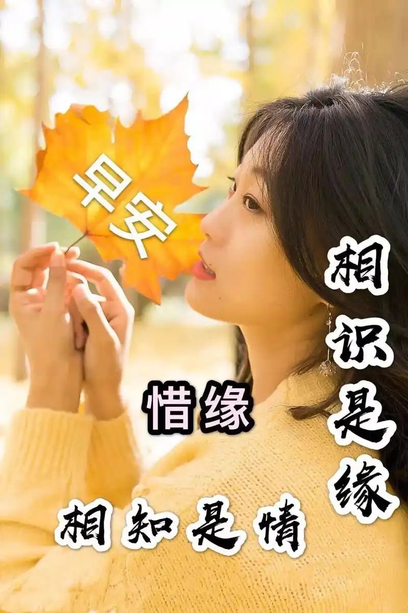 星期六最新漂亮早上好动态美图鲜花带字早晨好幸福暖心的问候表情图片