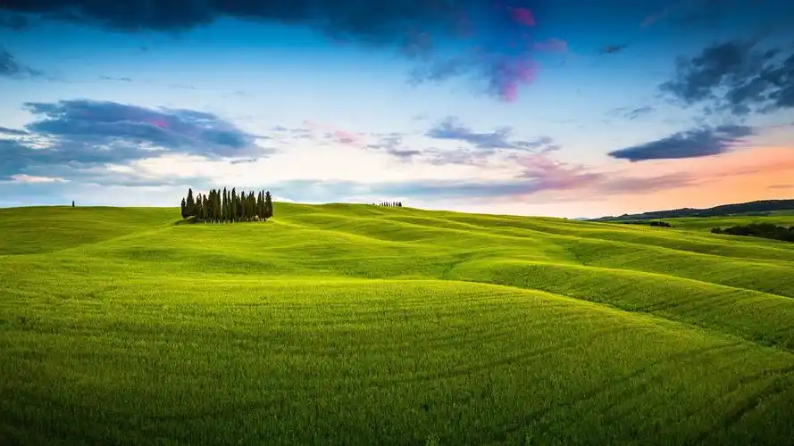 绿色护眼草原自然风景高清图片桌面壁纸