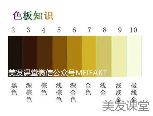 重点讲解1:我们在增加色度的时候可以,把头发分组来规划.